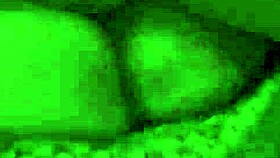 Let me lick your penis before you destroy my pink pussy