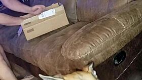 i give a blowjob on the sofa with rimming