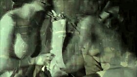 vintage erotica collection unfolds