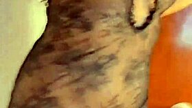 incredible collection of real female orgasms from licking and masturbation