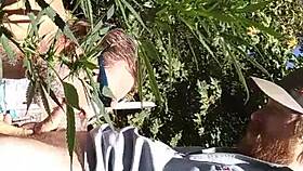 Hot suck and fuck happening in the 420 patch.