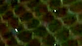 provoquei o uber e deixei ele brincar com minha bucetinha