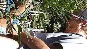 Hot suck and fuck happening in the 420 patch.