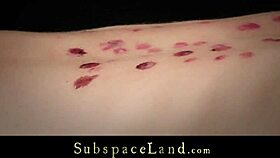 You know, rough bondage domination for porny Chelsey Sun, she's screaming with toys and spanking.