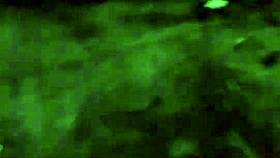 Met a young guy at the tobacco shop who banged me on the street and in the car while cuck drove!