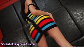 दोस्त, ये हैरी एशियन लेडीबॉय हॉट सोलो में स्पर्ट करती है