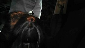 Fun With T-Girls At A Car Park And In A Porn Theater