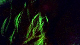 Knowing when things are about to happen in a casual setting