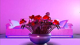 He came home and relaxed after a long day.