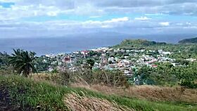 Weekend in nature turns freaky with an old hairy monster cock perv.