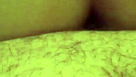 Bbw Teen 18+ Gets Bent Over In Doggy Pov.