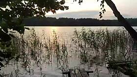 On the lake, the petite stepsister experiences anal sex leading to cum on ass.