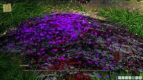 lust academy episode 471