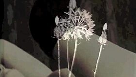 Vintage dark London hides steamy threesomes. Swinging sixties secrets unfold in retro style!