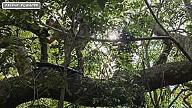 I exploit my humility just for my own benefit