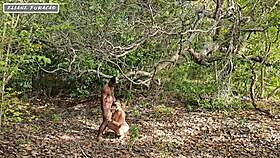 I exploit my humility just for my own benefit