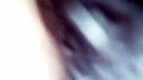 Cristal Chavez intensely sucks my balls and dick