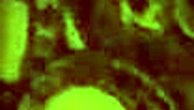 Getting fucked in fours, my favorite bent-over doggystyle pose with cum on big ass 😘