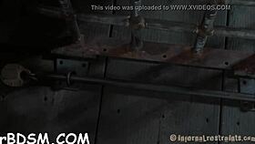 sadomasochism videos explore various themes and scenarios in detailed narratives.