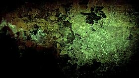 i love this vintage erotic art collection