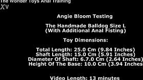 “feel this huge balldog toy, angie bloom!” testing size l with anal fisting