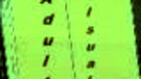 what's going on in harem hotel 14 with all those cartoon characters?