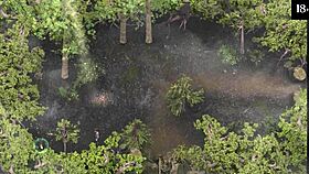 Complete gameplay of lust epidemic part 21