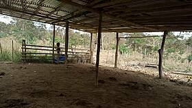 Widowed Stepmother Seduces Stepson on Country Farm