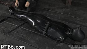 Hotty receives a neck collar and legs widen wide open