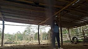 Widowed Stepmother Seduces Stepson on Country Farm