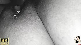 trailer - my pet taking