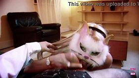 Lovely masked slave gets fucked missionary style by her master in blowjob and big ass.