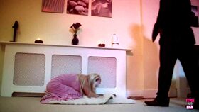 Lovely masked slave gets fucked missionary style by her master in blowjob and big ass.