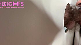 contos e pintos - episodio 3