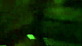 friends enjoy outdoor activities and homemade fun at home