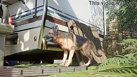 Brunette With Big Tits Plays With Toys And Big Cock