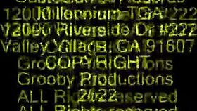 Tgirls in lingerie tempt at dinner, are you joining the feast?