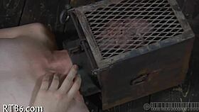 Angel receives a lusty facial punishment