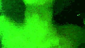 Watch this guy train his throat with toys and blowjobs, solo amateur fun.