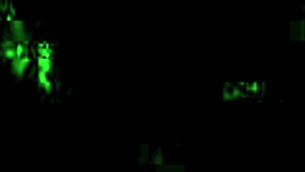 Have you seen these vintage erotic drawings before?