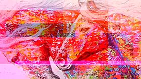 Heavy sex today, I paid the installer with my ass, he wrecked my ass with his thick cock - full sheer