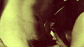 Secret desires: A collection of taboo videos from the past