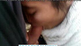 outdoor blowjob in park while neighbors watch nearby