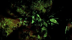 Wow, Vintage Erotic Anime Drawings Explode with Passion!