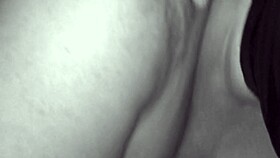 my vintage fuck collection vid 3 shows raw cumshots on various bodies