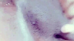 Ass To Mouth Bisexual Gay And Pissing Fun