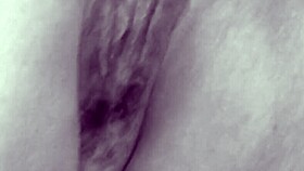 my vintage fuck collection vid 3 shows raw cumshots on various bodies