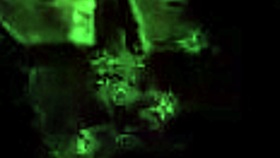 My Secret Life: A Vintage Erotic Cartoon Adventure.