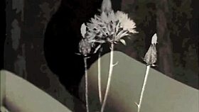 Vintage taboo family confessions slam hard in retro style.