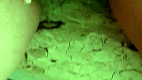 Alineflavio shares their latest update from August 24, 2024, featuring a cute couple in close-up homemade scenes.